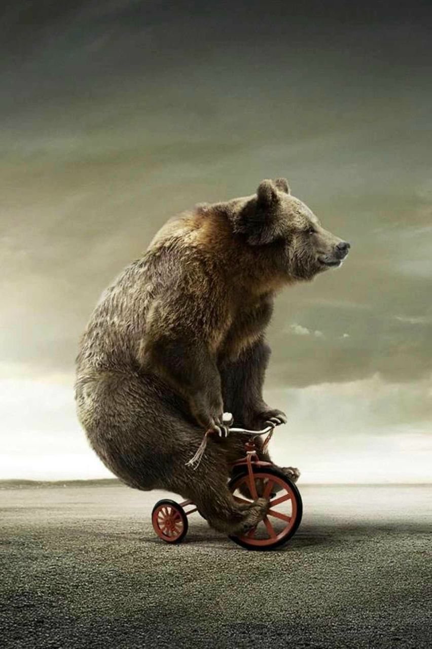 Миша Акопян | Хабаровск