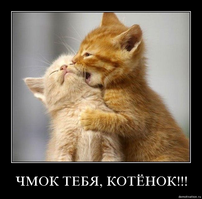 Всеволод Самарцев | Москва