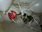 №3, Настя Показаньева, 28.1.1987, 39 лет, Ульяновск, Россия