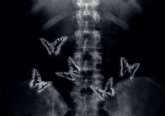 Анастасия Павлеева | Владивосток