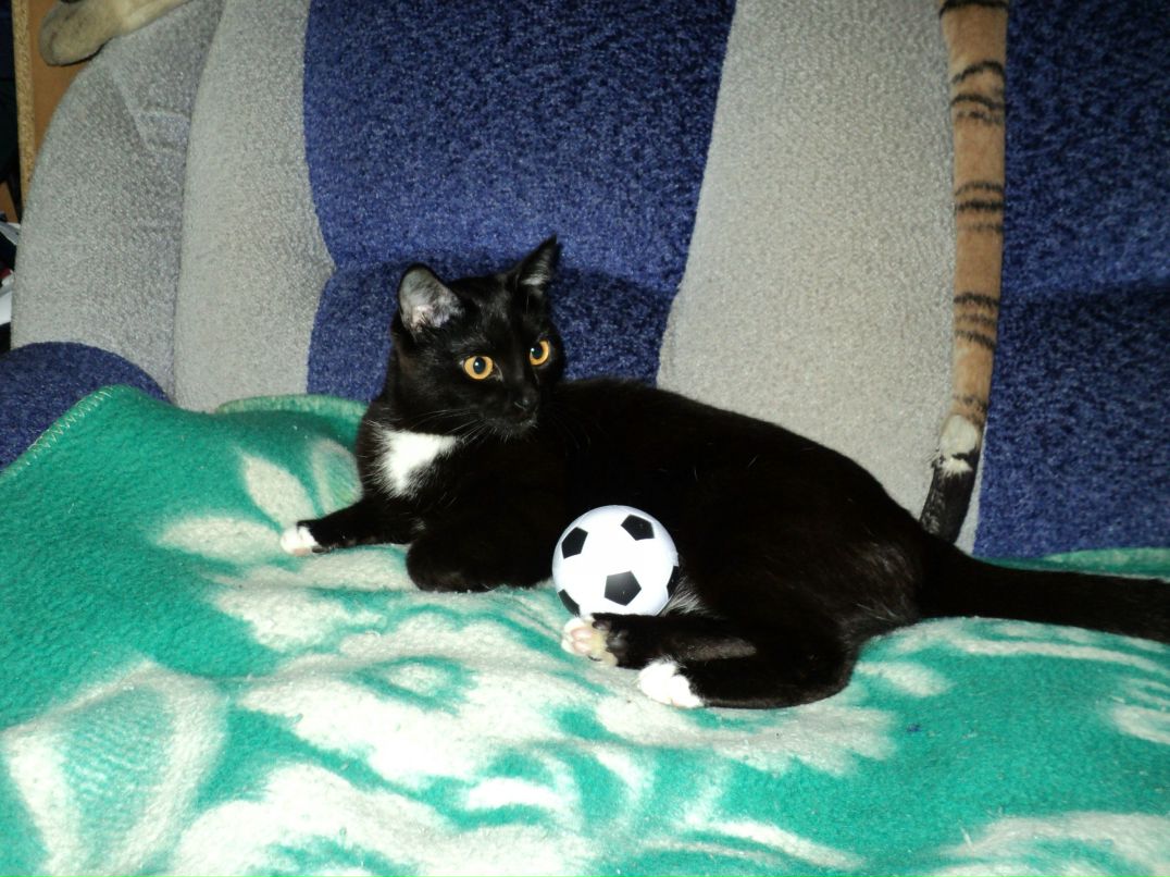 Виталий Займогов | Пермь