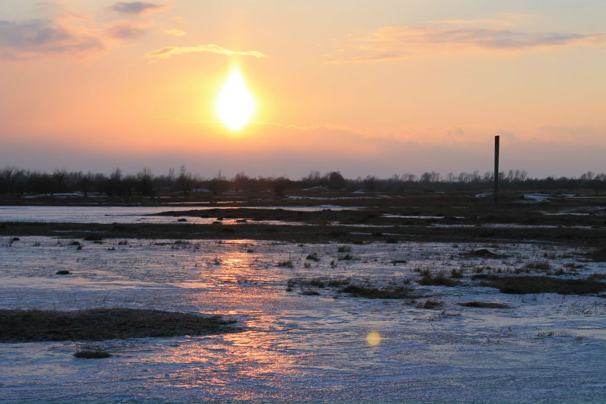 Olya Djimovna | Ачинск