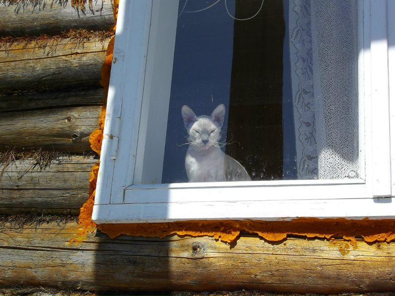 Сергей Пугачёв | Санкт-Петербург