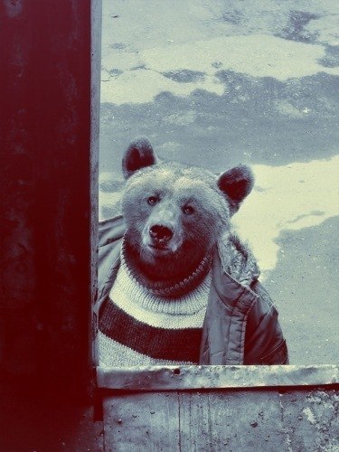 Илья Малышев | Mata-Utu