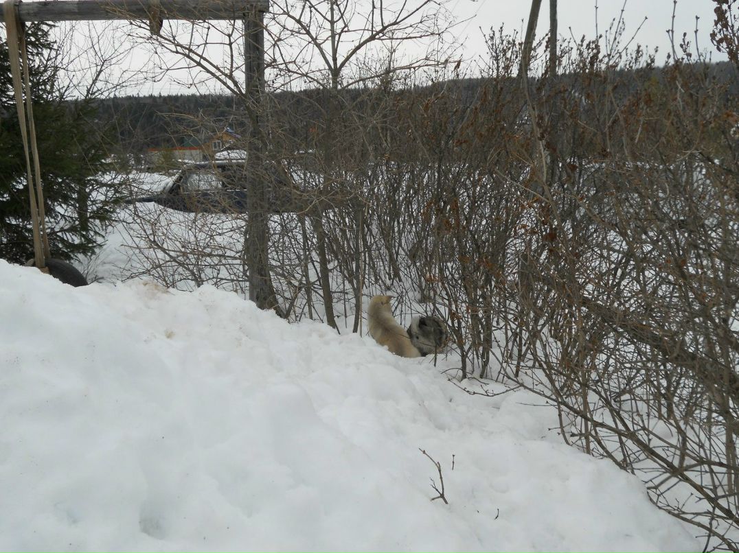 Константин Подопригора Kosto | Пермь