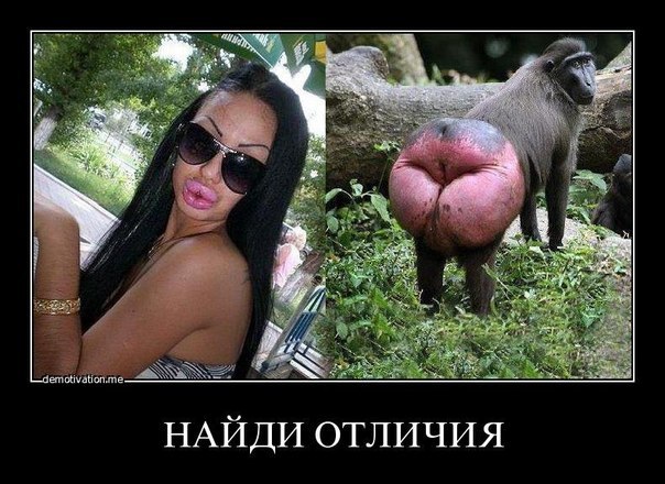 Зим Токсик безумович | Lublin