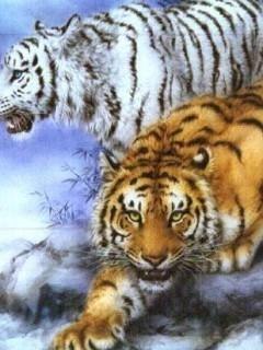 Тарас Савчук Мирославович | Брошнев-Осада