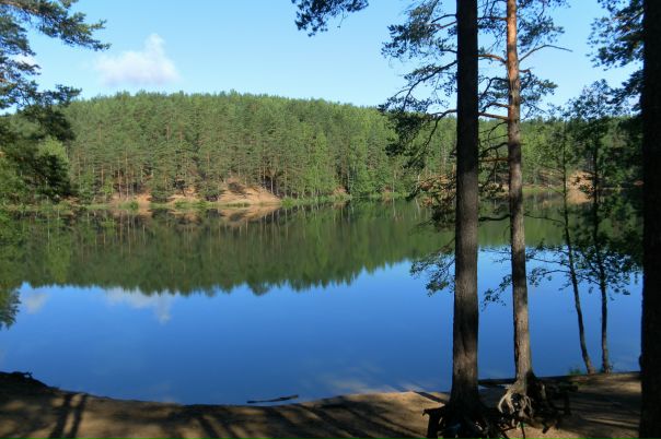 Елена Поличук фото профиля #5