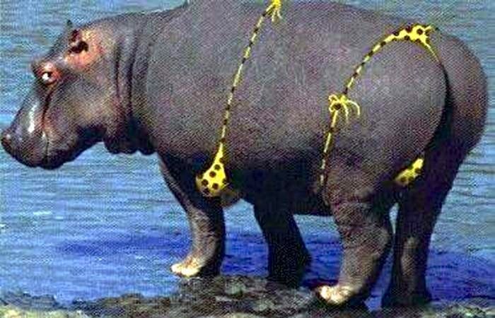 Алексей Калинин | Краснозаводск