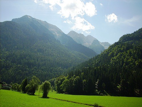 Елена Гаврилова-Мёслингер | Salzburg