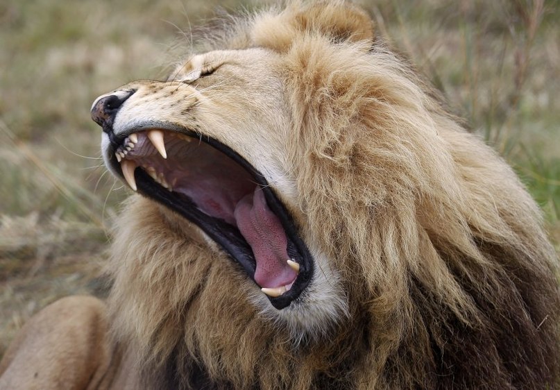 Сергей Ничипорчик | Днепр (Днепропетровск)