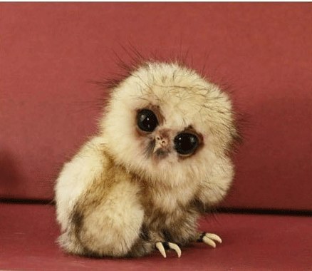 Санечка Savina | Санкт-Петербург