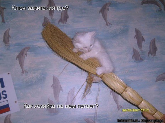 №19, Саша Омельченко, Киев №19, Саша Омельченко, Киев