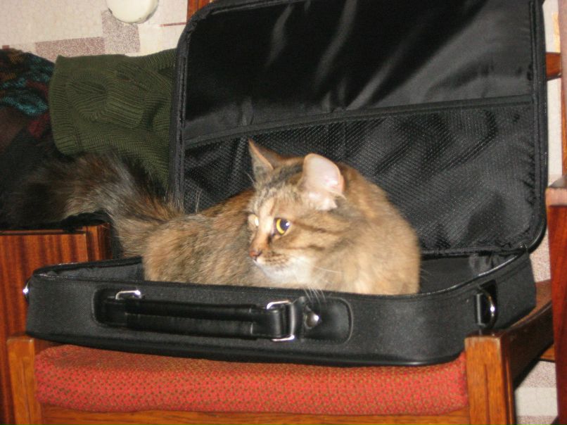 Сергей Калачников ???????????????????????? | Киев