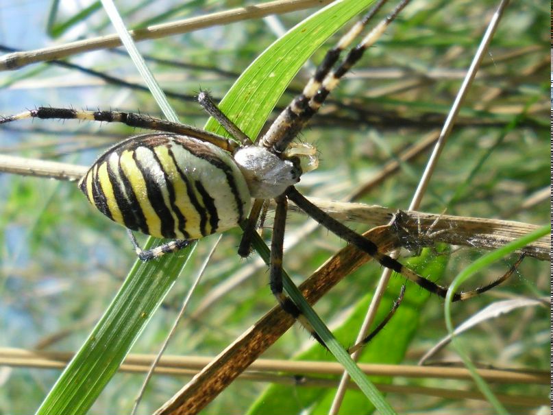 Владимир Харченко | Луганск