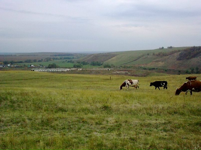 Татьяна Терехова | Альметьевск