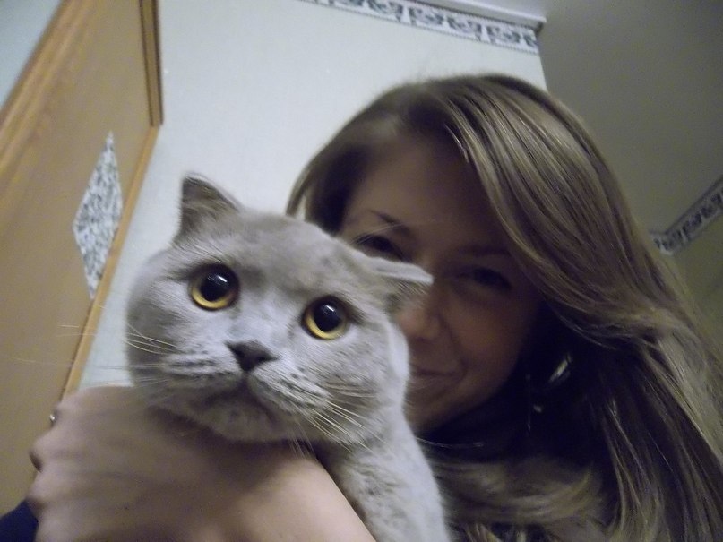 Tata Данилейко | Киев