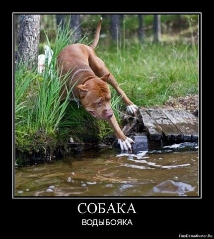 Диана Асанова | Скадовск