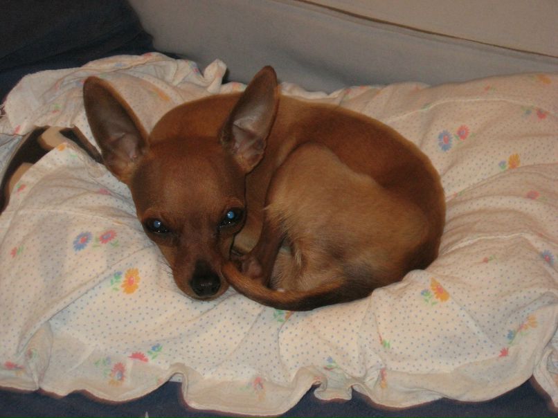 Андрей Глистюк | Харьков