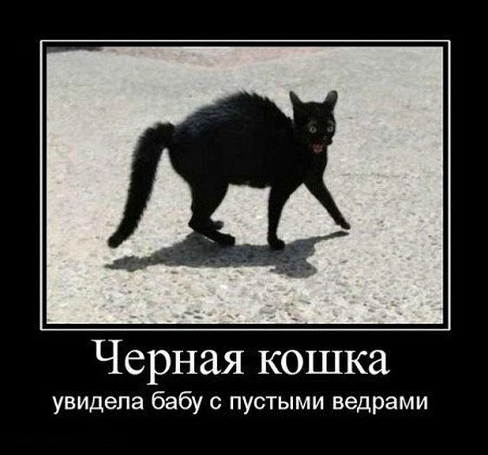 Александр Лукишко | Нягань