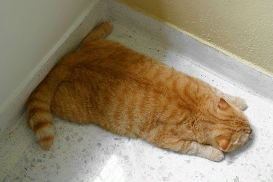 №160, Павел Самойлов, Москва №160, Павел Самойлов, Москва