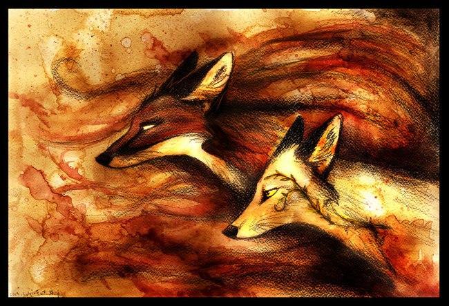 Родион Мородецкий | Калининград