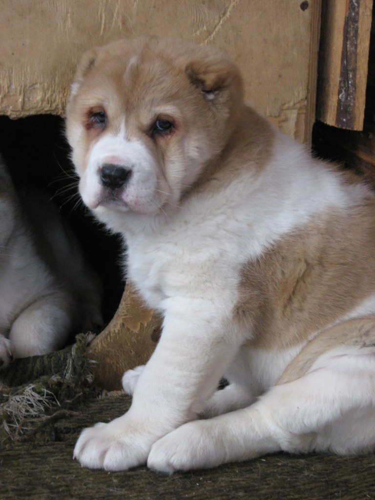 Ольга Иванова | Санкт-Петербург