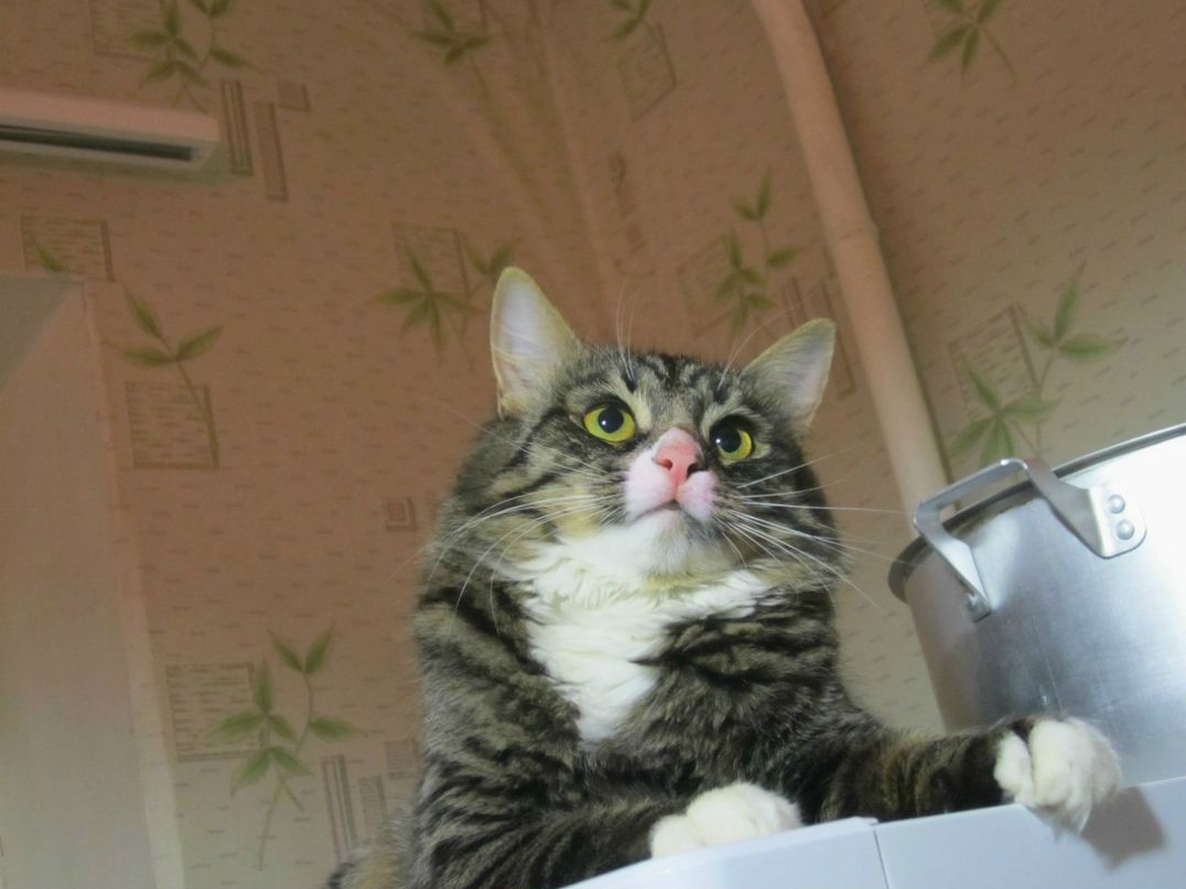 Ирина Иванина | Тверь