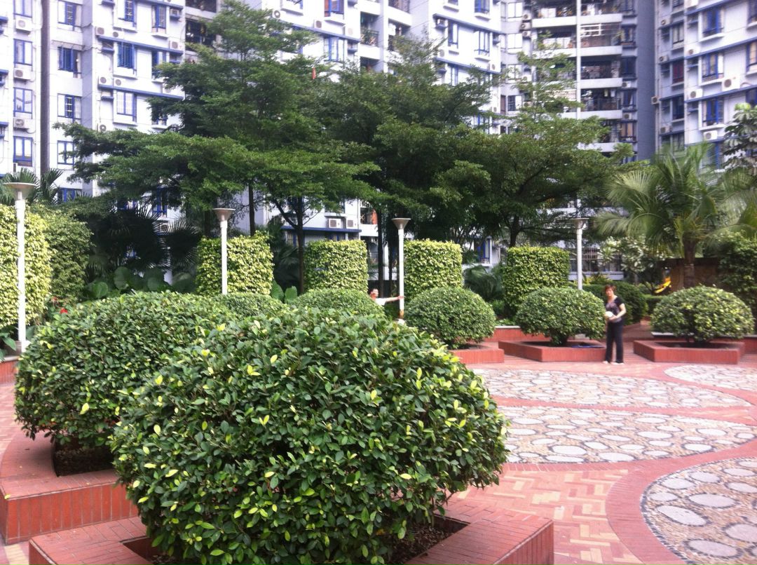 Макс Жарков THEMALL.RU | Guangzhou