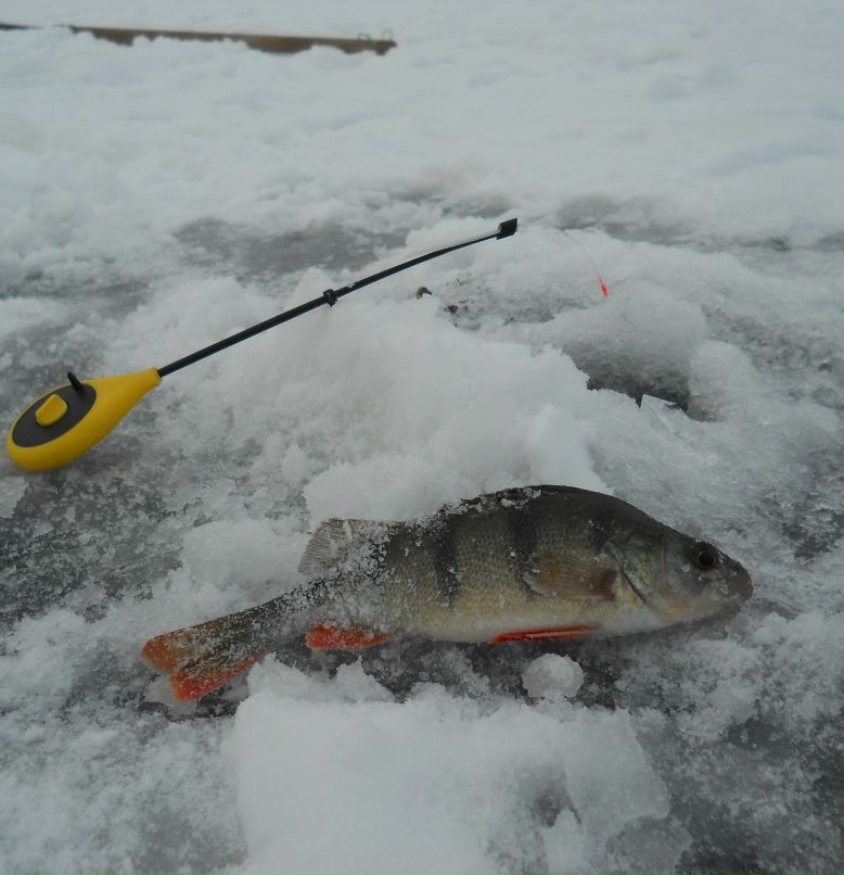 Валентин Марчук | Ровно