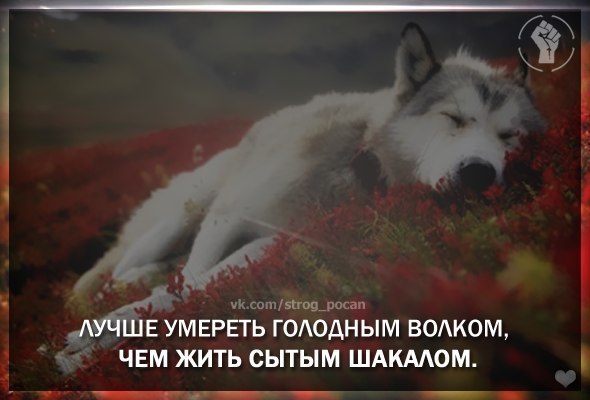 Жека Певнев | Сумы