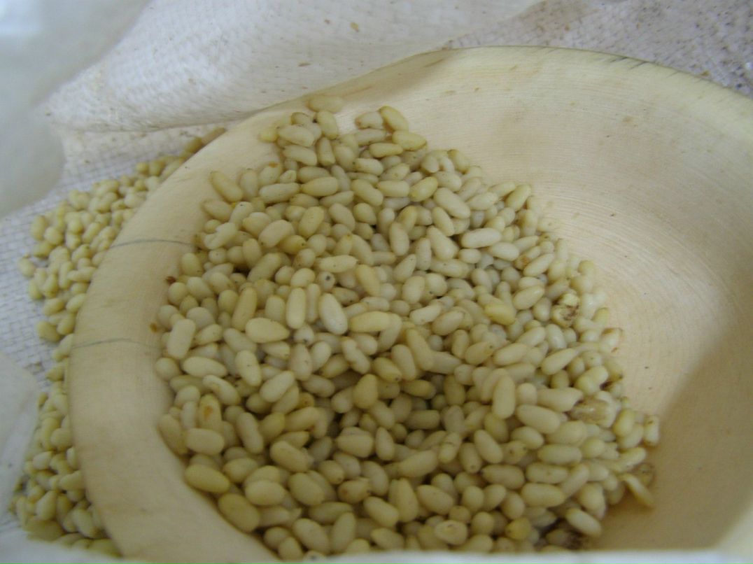 Олександр Грегораш | Калуш