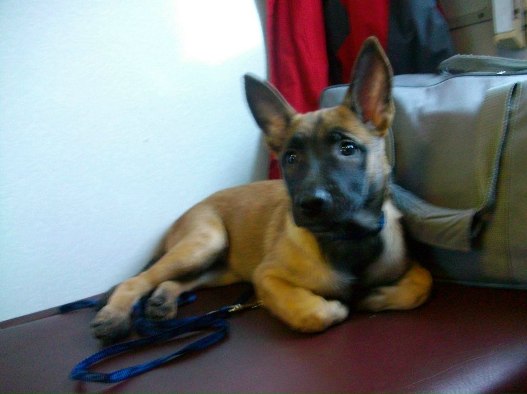 Лёха Имуков БеШеннЫй пИнГвиН | Самара