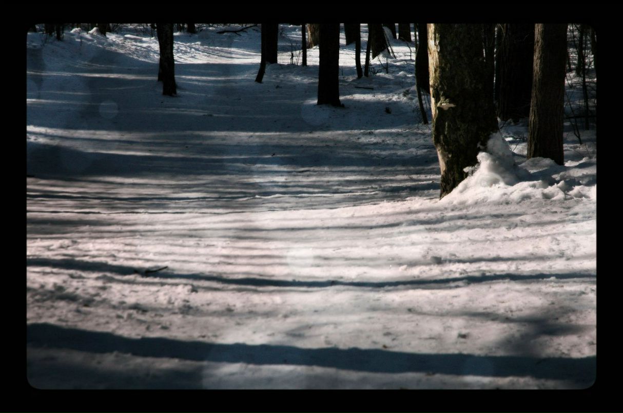 Марфа Люпер | 