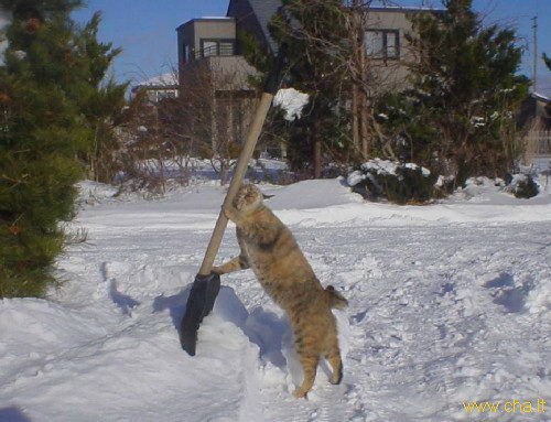 Дмитрий Чесноков 777chen | Москва