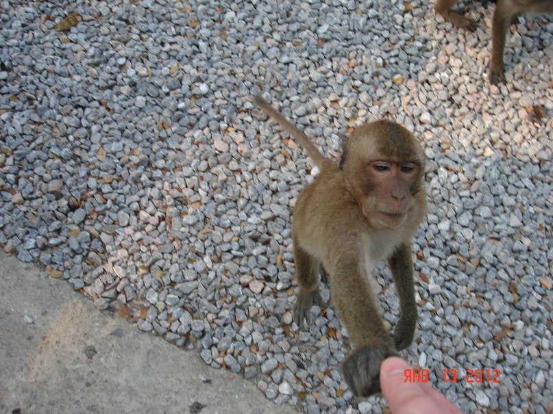 Михаил Афанасьев | Запорожье