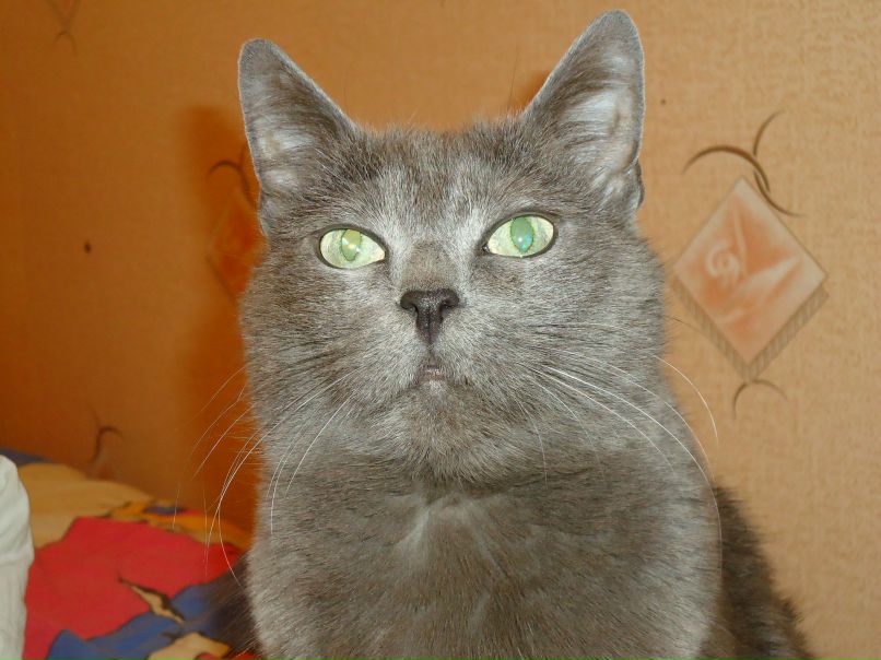 Галина Трофимова | Санкт-Петербург