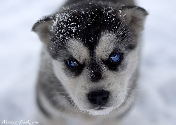 №7, Александр Пака, Харьков №7, Александр Пака, Харьков