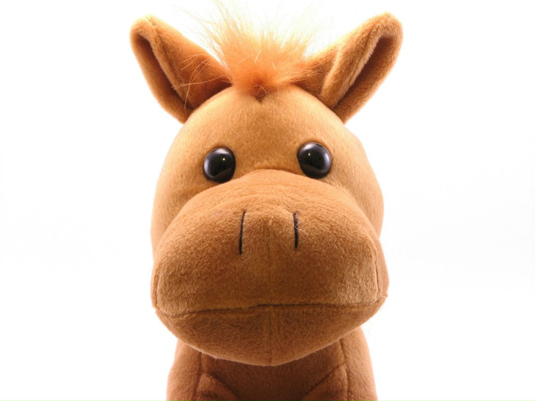 Оля Кошкина | Москва