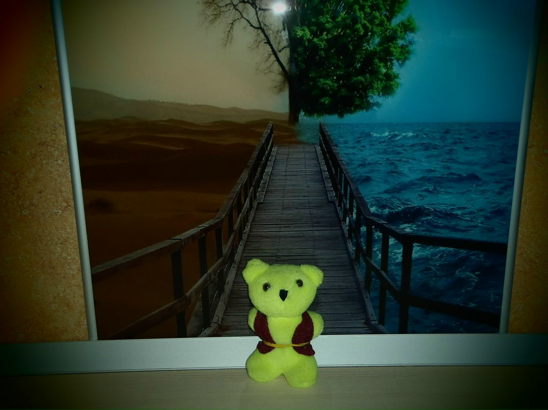 Эльдар Бабаев | Новосибирск