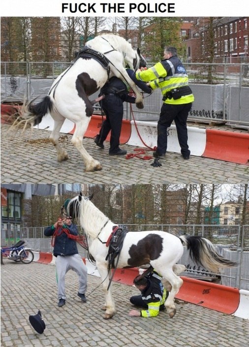 Станислав Крашенинников | 