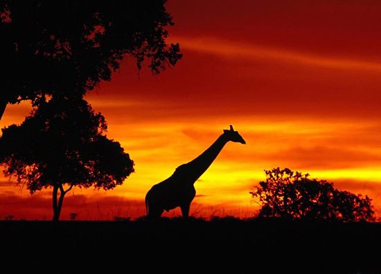 №2, Антон Фиников, 46 лет, Санкт-Петербург №2, Антон Фиников, 46 лет, Санкт-Петербург