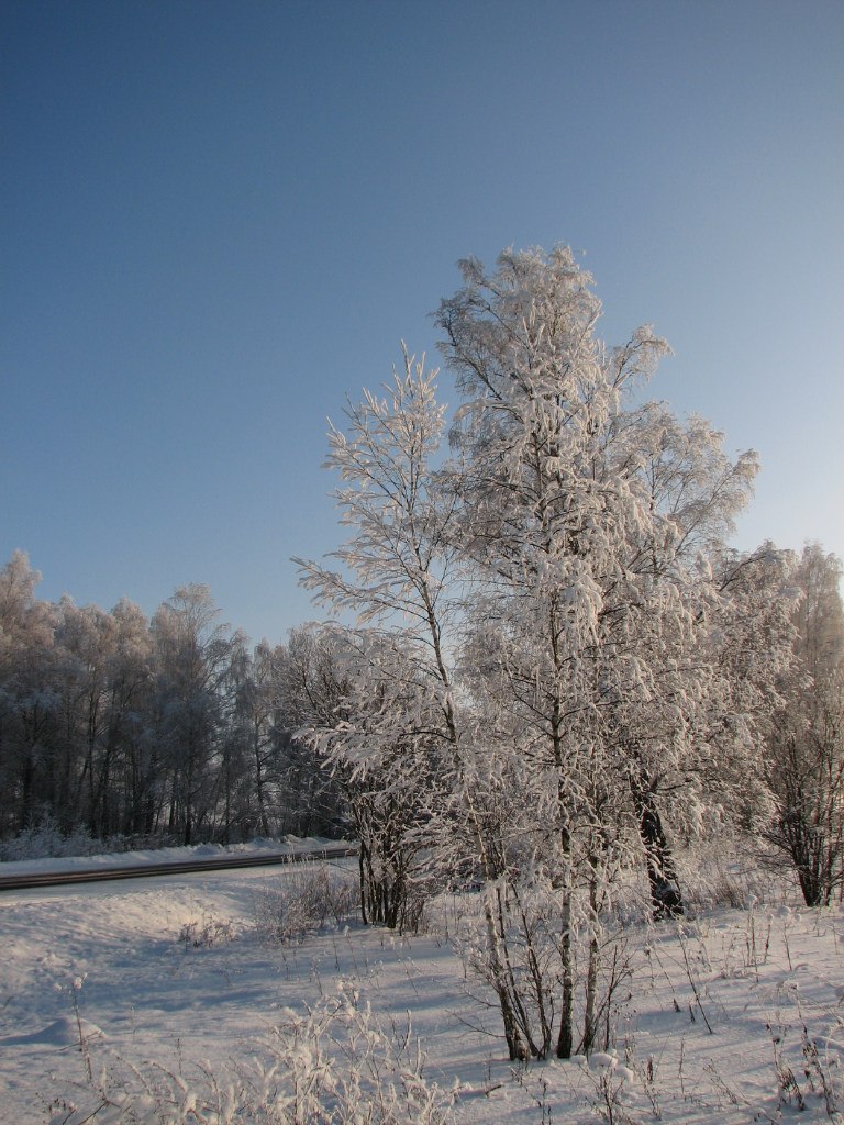 Максим Сержантов $LoRD$ | Озёры