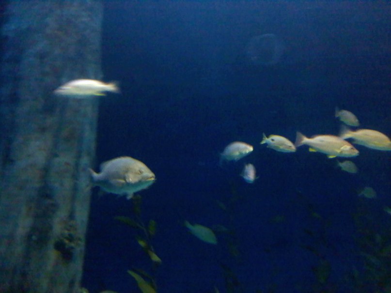 Евгений Багрянов | Вологда