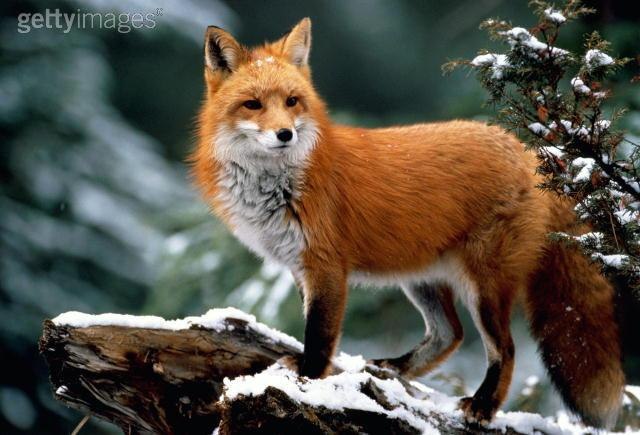 Надежда Романовская | Омск