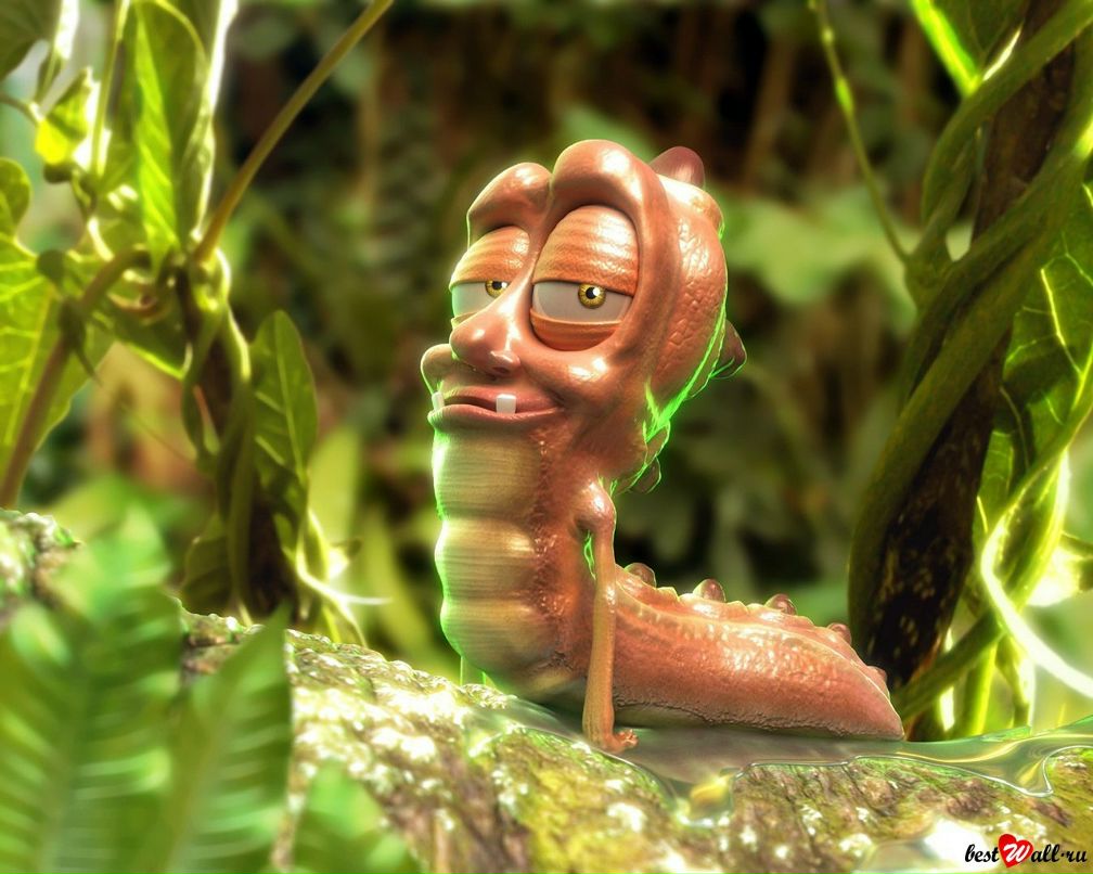 Игорь Киселёв | Казань