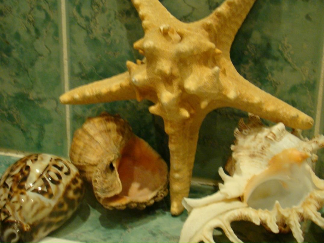 Ирина Елисеева | Москва