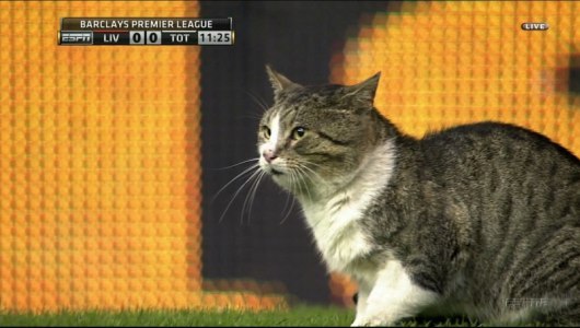 Тулеген Мурзалипов | Караганда