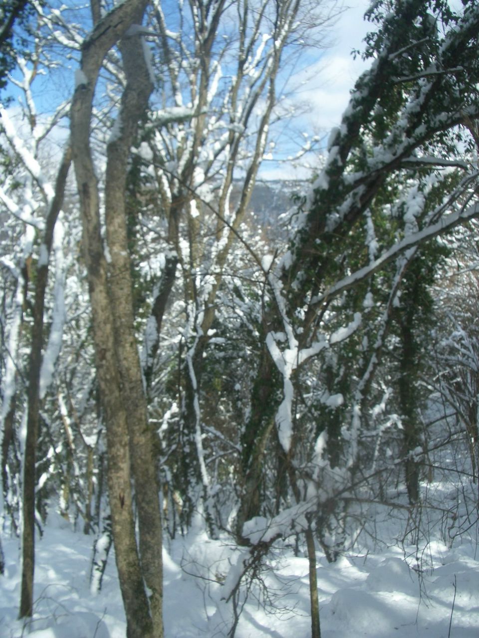 Аня Ледней Дмитриевна | Запорожье