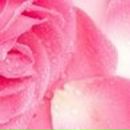 Альбина Гильманова | Уфа